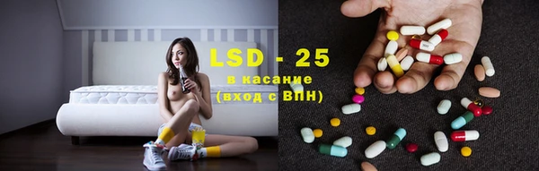 ГАЛЛЮЦИНОГЕННЫЕ ГРИБЫ Гусев