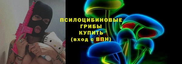 ГАЛЛЮЦИНОГЕННЫЕ ГРИБЫ Гусев