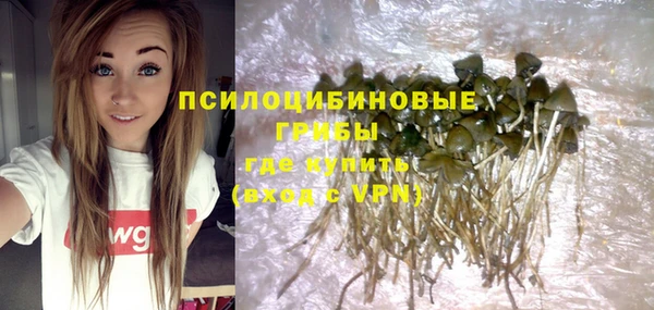 ГАЛЛЮЦИНОГЕННЫЕ ГРИБЫ Гусев