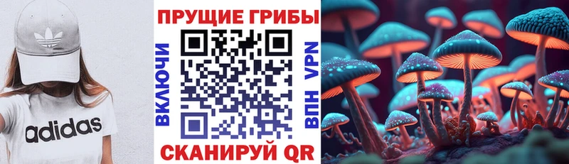 Купить  Торжок  Галлюциногенные грибы мицелий 
