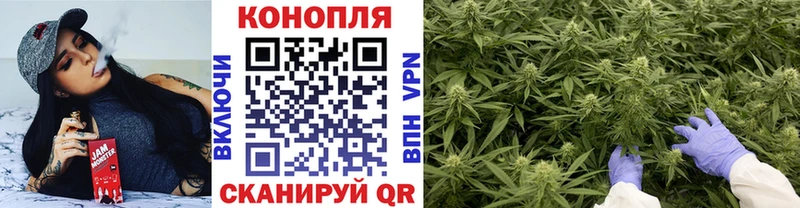 Купить где  Торжок  Бошки марихуана тримм 
